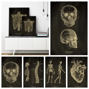 Vintage Plakáty Struktury Lidského Těla Srdce Kostní Lékařské Ilustrace Retro Kraftový Papír, Plakát Home Decor Malování Na Zeď